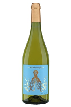 Igp Cotes Du Tarn Sauvignon Blanc Poulpe Magique Arbeau 2023 Bio